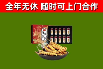 黄山烟酒回收冬虫夏草礼盒.jpg